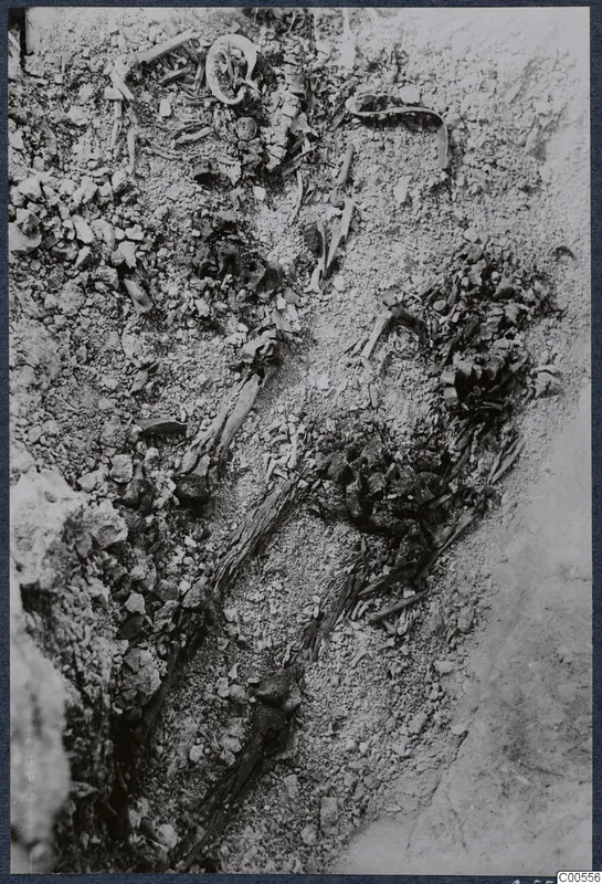 Excavation at Vouni showing scattered bones, a curved metal object and small stones in loose soil