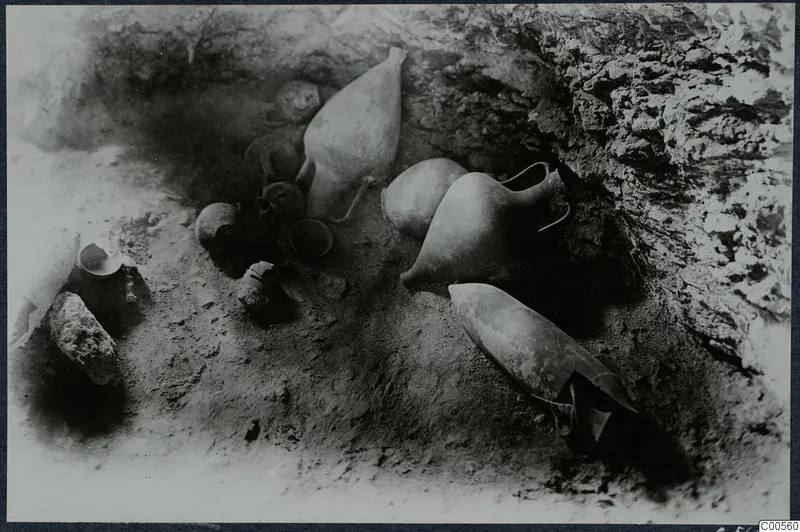 Several pottery vessels lying in situ in an excavated hollow at Vouni