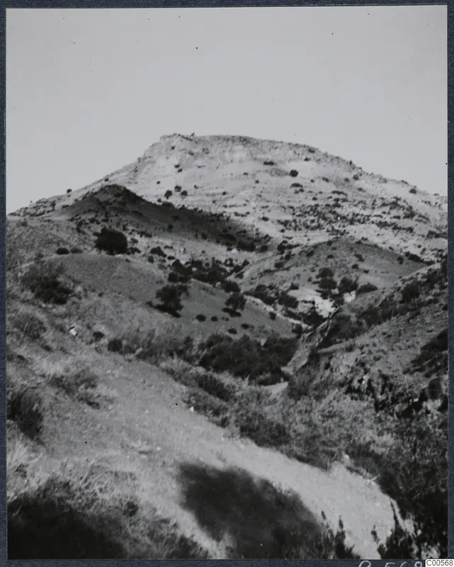 Hillside at Vouni with a bare pale summit, scrubby bushes and a sloping track in the foreground.