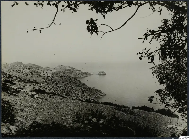 View over a rocky coastline and calm sea at Vouni, framed by tree branches