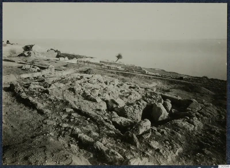 Rails, stone blocks and a small tree at the palace at Vouni, with the sea beyond