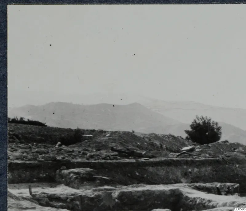 Excavated stone steps at Vouni palace, with a hillside, a tree and distant mountains behind