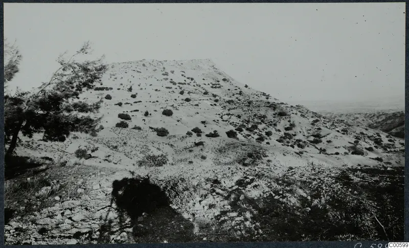 Vouni hill with scattered shrubs and a pine tree on the left, seen from the palace site.