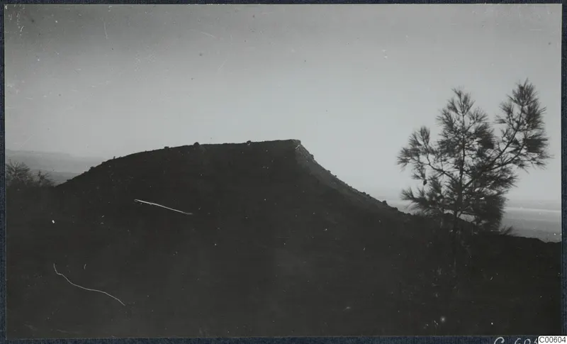 Topography at Vouni: a dark flat-topped hill, a pine tree and hazy sea beyond the ridge