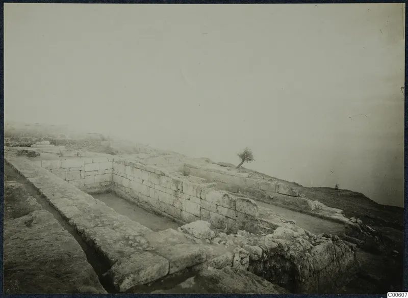 Stone walls and foundations of the palace at Vouni, with a small windswept tree on the right