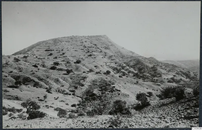 Hill with scrub and sparse trees rising above a rocky slope at Vouni Palace.
