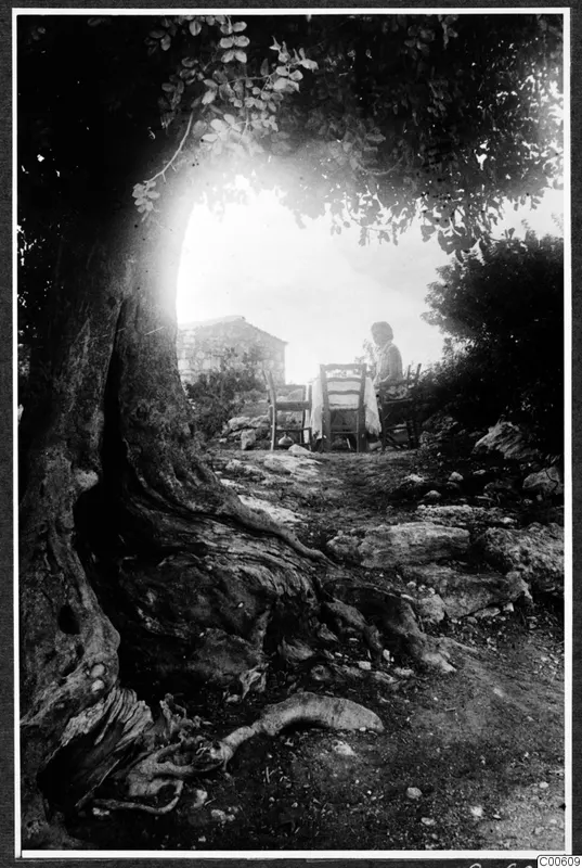 Woman seated at a laid table under a large shade tree, with a stone building behind