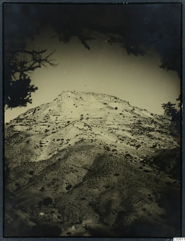Hill at Vouni with pale, stony slopes and scattered shrubs, framed by branches of a tree.