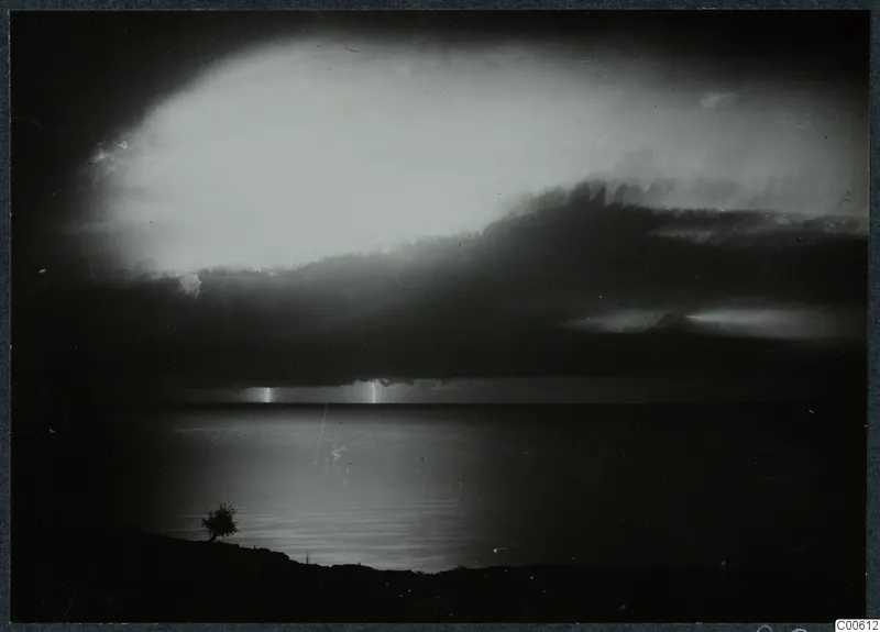 Night thunderstorm over the sea at Vouni, with lightning on the horizon and a small tree on the shore.