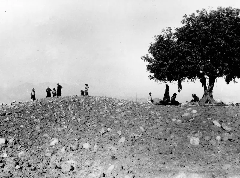 The palace hill at Vouni before excavation, a stony mound with a large tree and a group of people