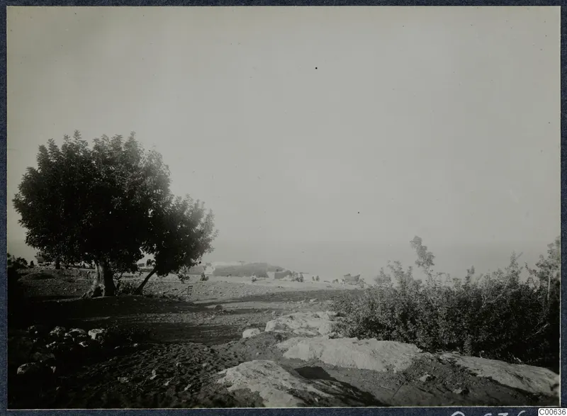 Landscape at Vouni with a large tree, rocky ground in the foreground and distant ruins with small figures near the sea haze