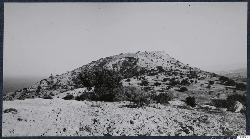 Rocky hill at Vouni with scattered scrubby trees and bushes, with the sea visible at the left edge
