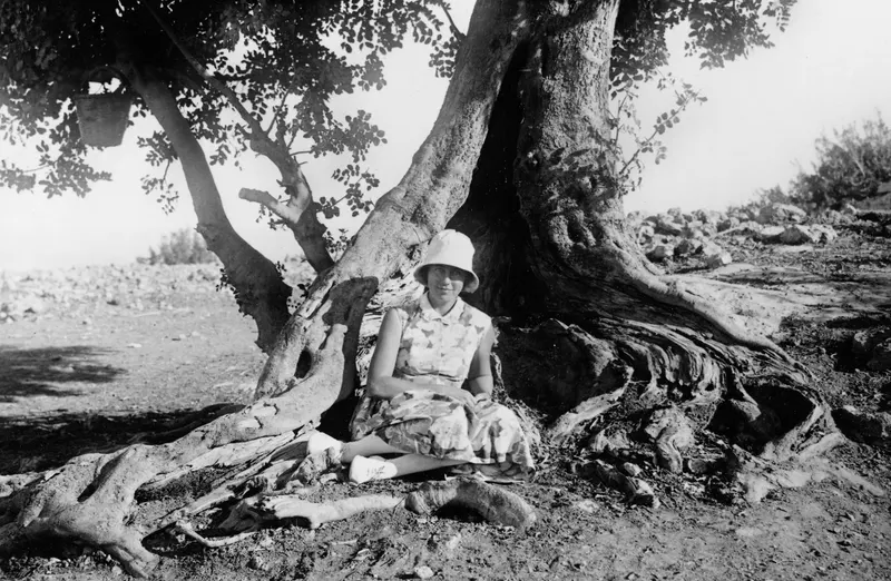 Vivi Gjerstad seated under a large carob tree at Vouni, wearing a hat