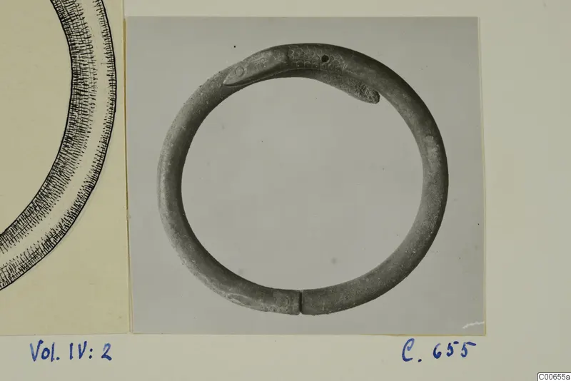 Ring-shaped bracelet ending in a snake's head, photographed before cleaning and mounted on a card beside an ink drawing of a ring.