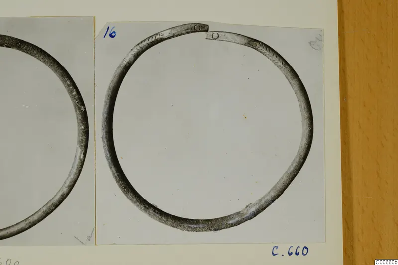 Silver bracelet, an open ring with small round terminals and incised marks, photographed on a card mount