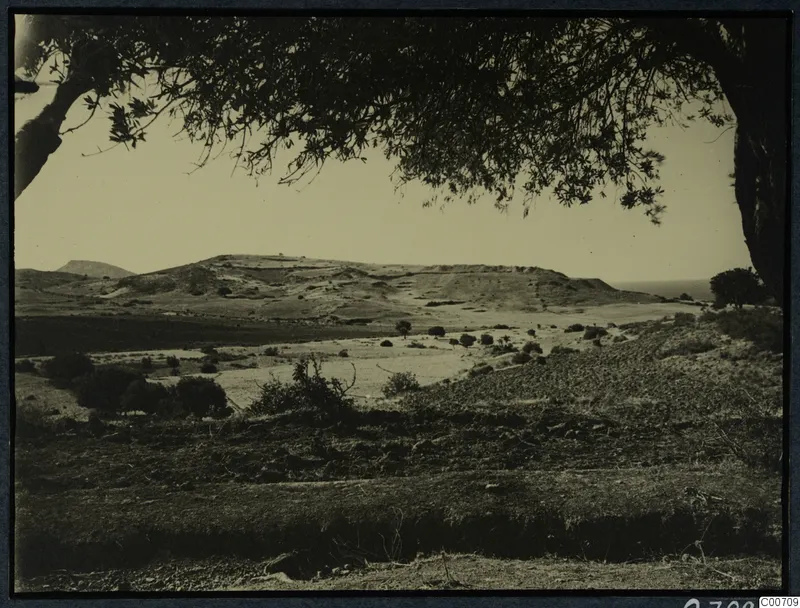 Topographical view at Soli: rolling hills, scattered trees and cultivated ground, framed by a tree branch.