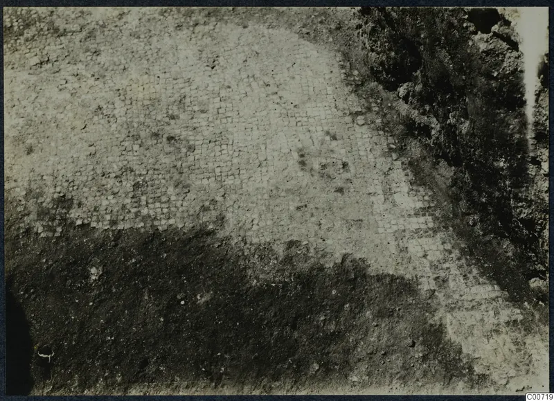 Detail of a mosaic floor exposed in test trench 1 at Pezoullia, Soli