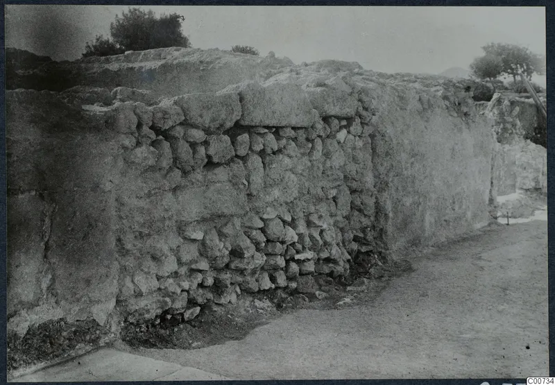Long stone wall at the palace at Vouni, with trees behind it