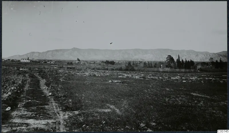 Milia, Famagusta: open fields with a dirt track, scattered buildings and trees, and a mountain range behind.
