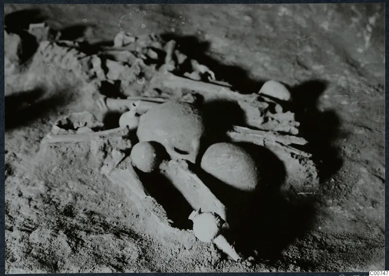 Skeleton with skull and long bones in excavated soil in Tomb 11 at Milia, with rounded objects beside it.