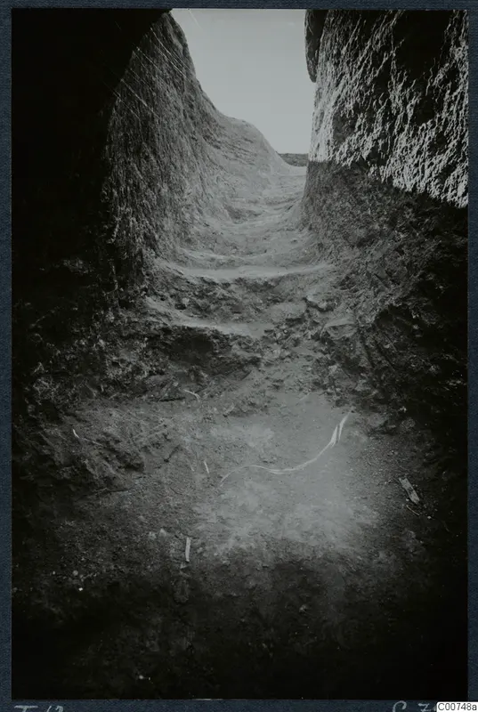 Excavated sloping passage with cut steps leading to Tomb 12 at Milia, during excavation