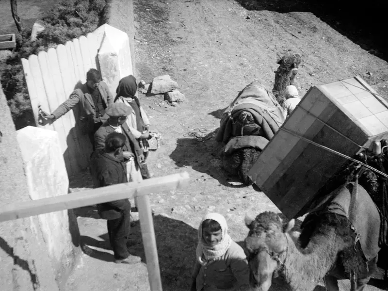 Camels being loaded with a large wooden crate at Milia, with several people standing by a white fence.