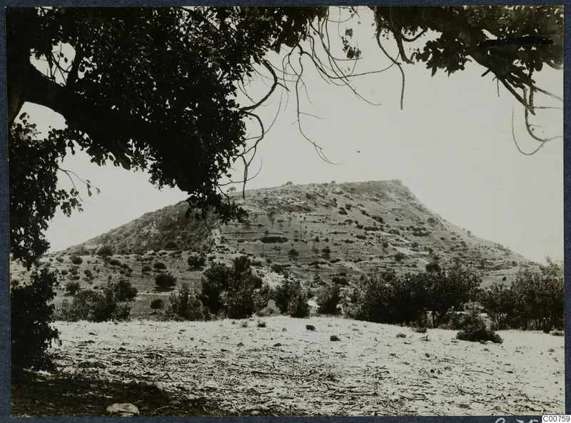 Tomb hill at Vouni seen through overhanging tree branches, with scrub and scattered trees on its slopes.