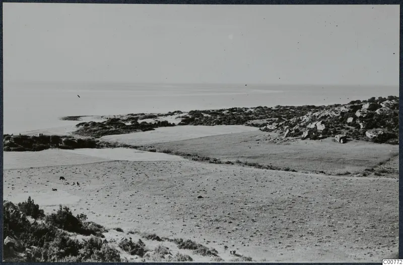 Landscape at Oura with open fields, coastal scrub and rocky outcrops, and the sea beyond