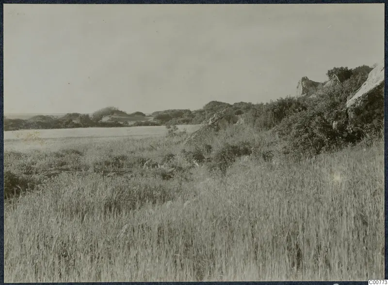 Grassy field with shrubs and rocky outcrops at Oura, with low hills and a strip of sea beyond