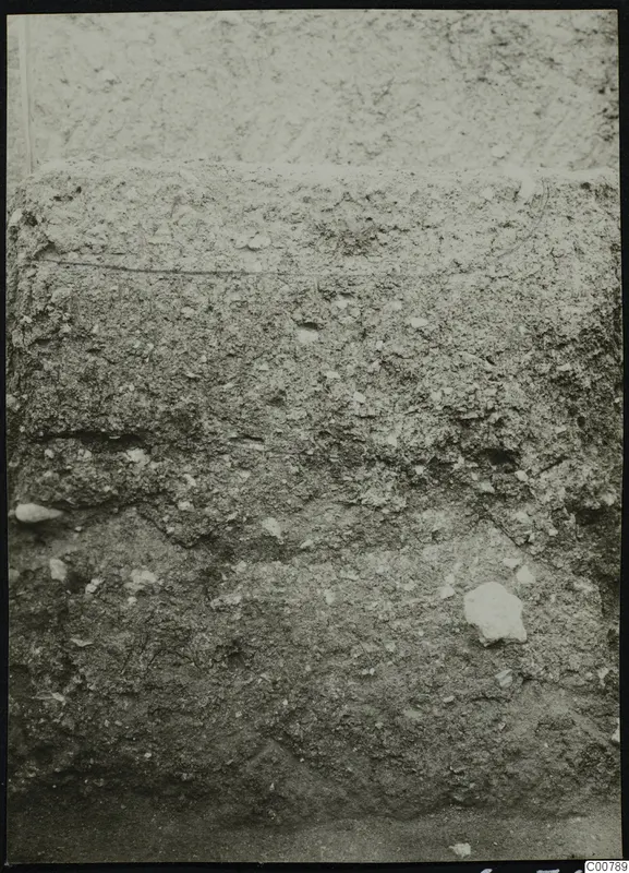 Close view of an excavated soil face at Plakes, Lapithos, with stones and layers visible