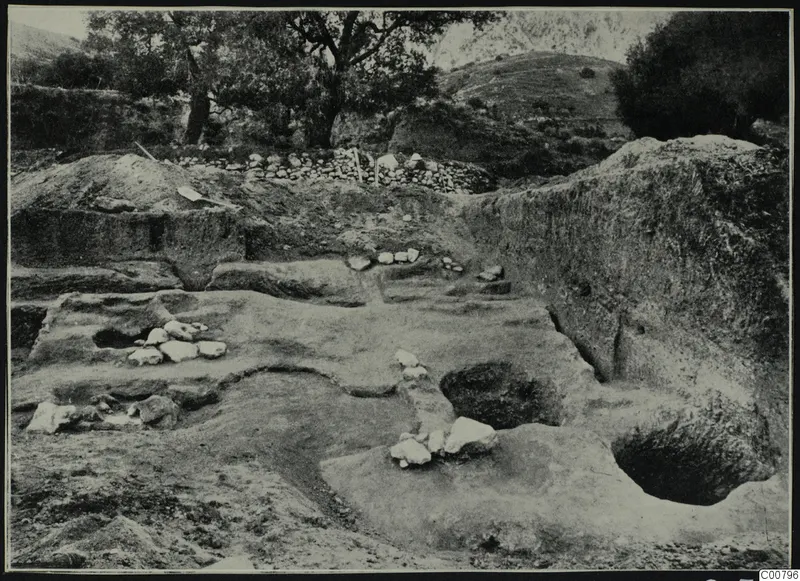 Excavation at Plakes, Lapithos, with a spade leaning at the edge of the cutting and trees behind.