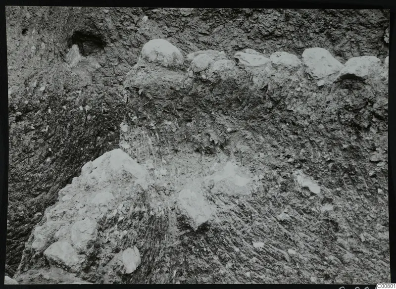 Excavated earth face at Plakes, Lapithos, with pale stones set into the soil