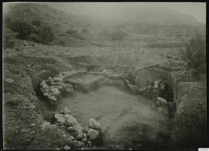 Excavation at Plakes, Lapithos, with exposed stone walls, cut banks of soil and trees in the background.