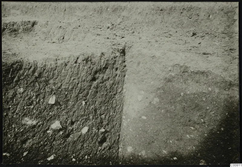 Excavation trench at Plakes, Lapithos, with a vertical soil face and scattered pale stones.