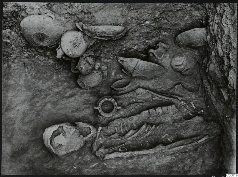 Tomb 602 at Lapithos: skeleton with pottery vessels and a circular object during excavation