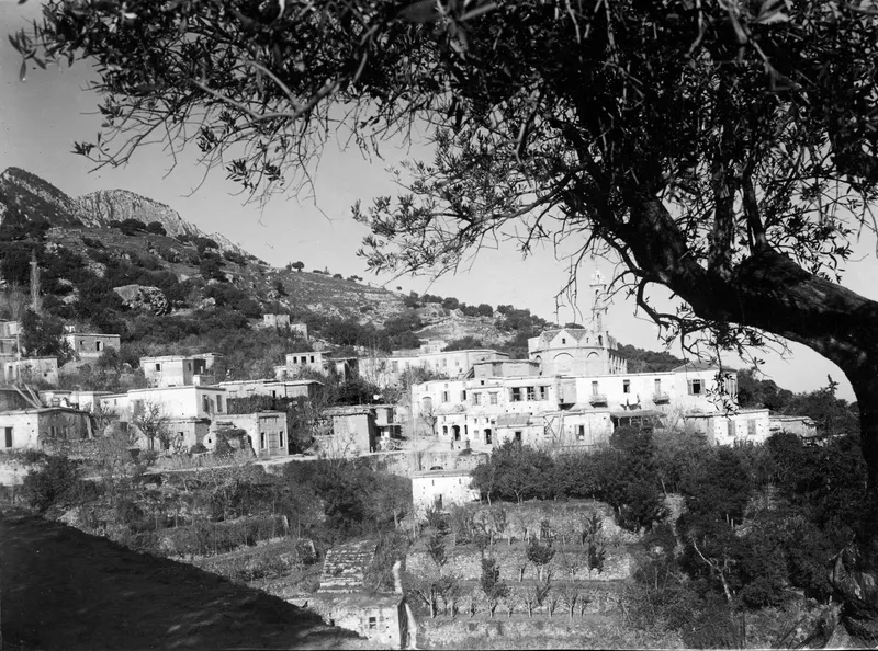 Landscape view of Lapithos village: pale houses on a hillside, seen through an olive tree, with a tall tower and rocky hills behind.