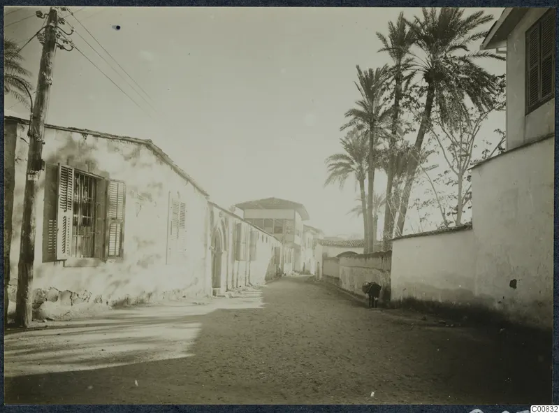 Dusty street in Nicosia lined with plastered buildings, a wooden power pole and tall palm trees.