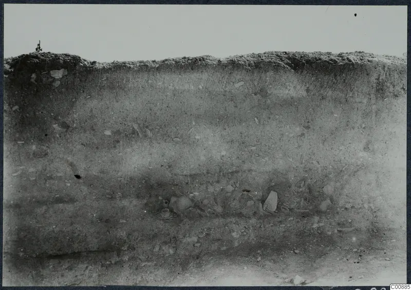 Vertical section of excavated soil at Idalion Acropolis, with pottery vessels and sherds lying in a band of earth