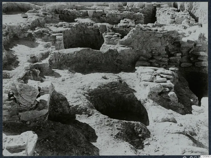 Excavated stone walls and room outlines at the Idalion acropolis, seen from above.
