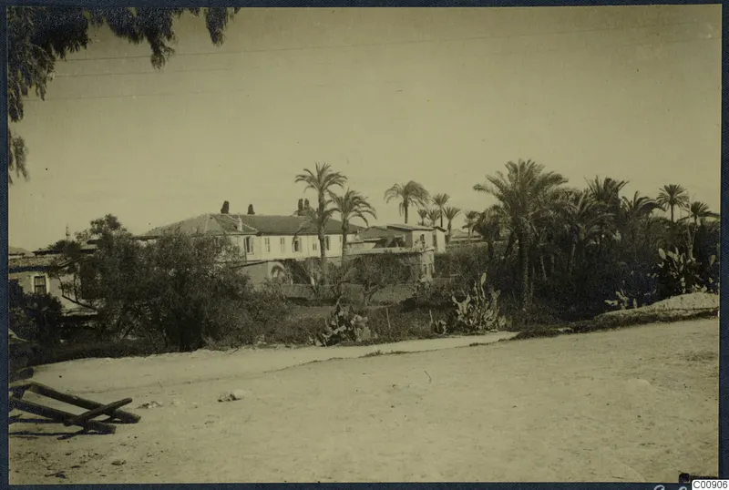 Dusty road in Nicosia with a long white building, palm trees and cacti behind a garden
