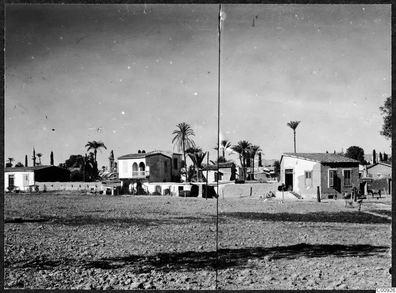 Houses, palm trees and small figures across bare ground in Nicosia