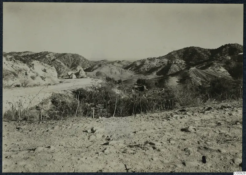 Dry hilly landscape on the Karpas peninsula with a dirt road winding past pale rocks and scrubby bushes.