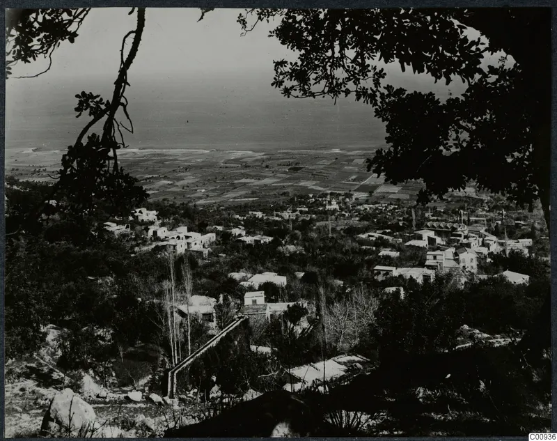 View over the village of Lapithos from higher ground, with houses among trees, cultivated plain and the sea beyond