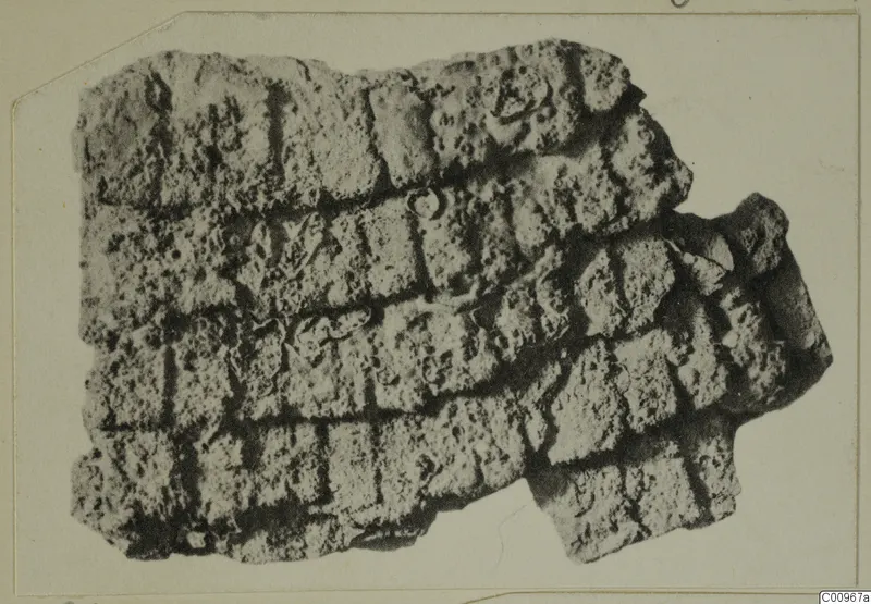 Pitted, rough fragment with a regular pattern of raised rectangular blocks in rows, from Amathus tombs 2–26