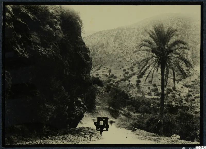 The road from Kyrenia to Nicosia winding past a rock face, a palm tree, and a car with a man on the road