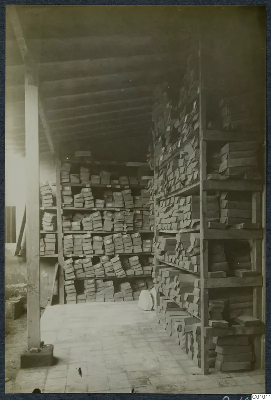 Storage room at the Swedish Institute, Nicosia, with wooden shelves stacked with boxes