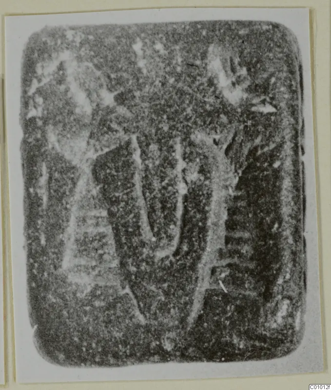 Rounded rectangular stone seal with a carved design of curved and upright strokes.