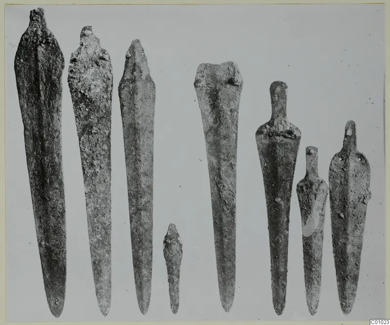 Row of about eight bronze blades and tanged tools laid upright on a plain grey background