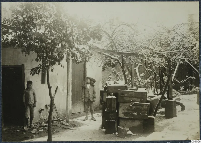 Snowy courtyard of the Swedish Institute in Nicosia, with two boys standing beside wooden crates and trees