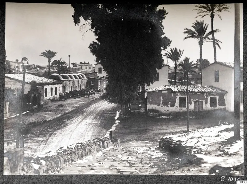 Street in Nicosia lined with domed buildings and several parked carts, with a large tree and palm trees behind